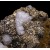 Fluorite, Calcite and Pyrite Villabona Mine M04501